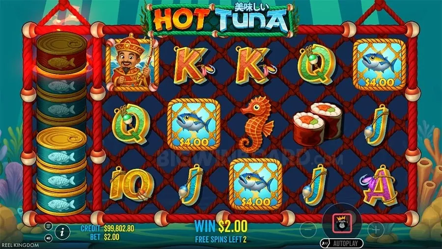 bmw55，apk Choosing the Right Casino Game