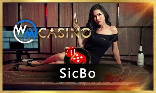 BMW55 Craps Odds